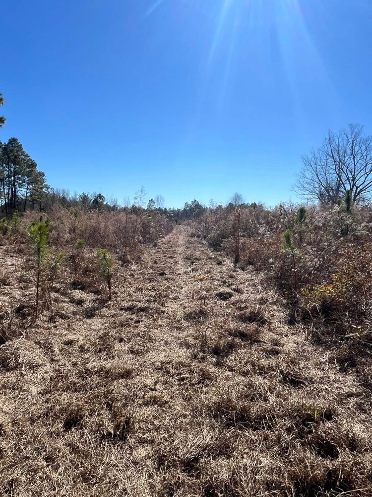 Our mulching service keeps your landscape neat and healthy by recycling grass clippings into natural nutrients. Using a mulching mower, we create cleaner lawns, better soil moisture, and reduced yard waste. for Thin Blue Line Ventures in Bonifay, FL