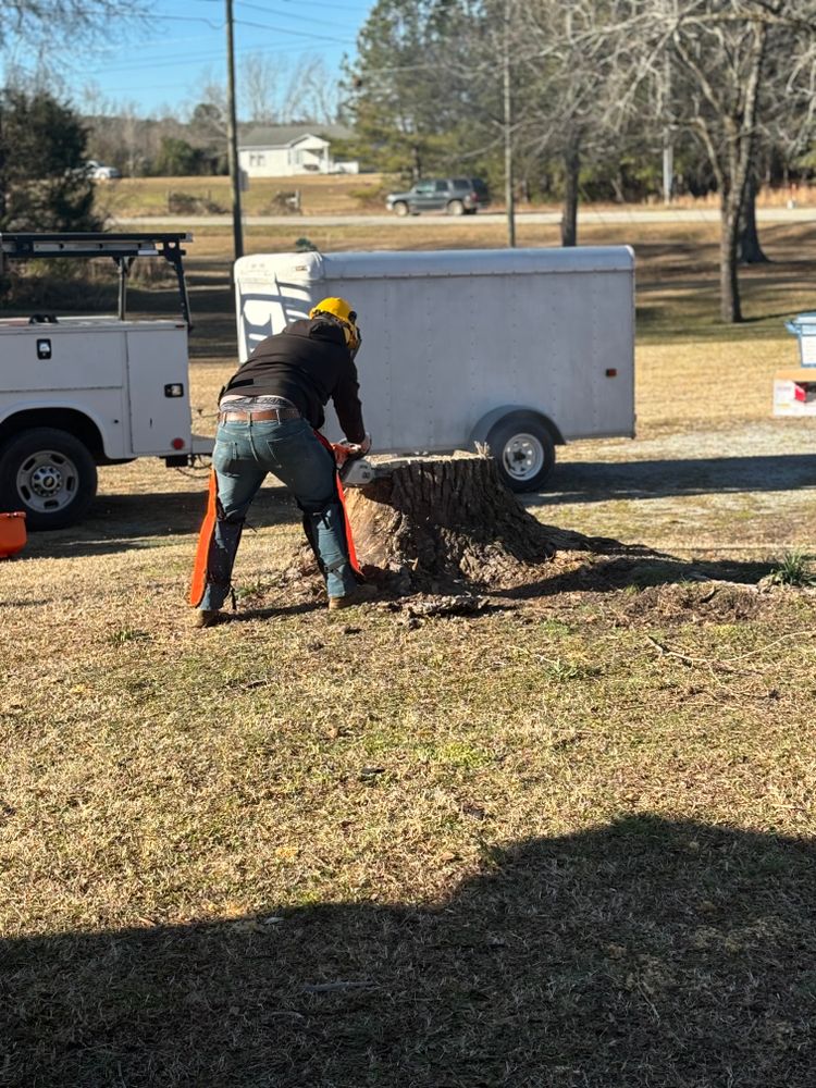 Stump Grinding for Otis Lee Stump Grinding LLC in Elgin, SC