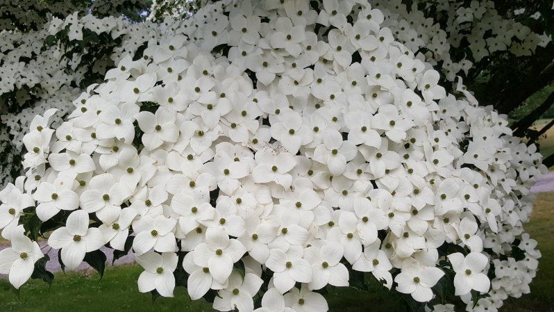 All Photos for Evolution Earthscapes, LLC in Ludlow, MA