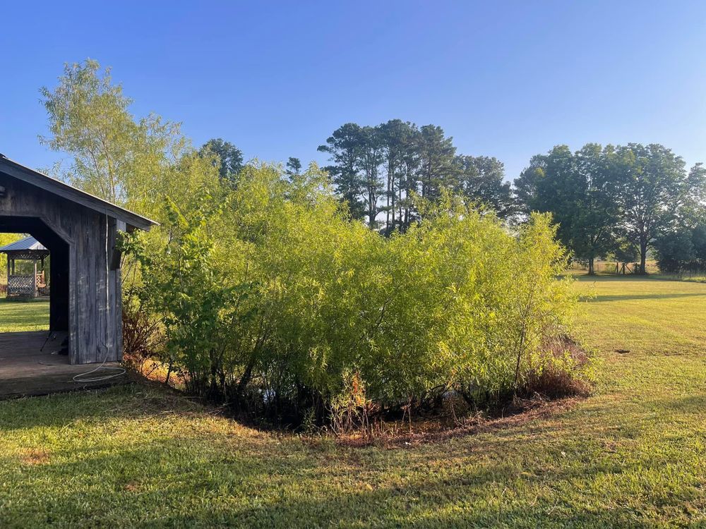 All Photos for Greenwood Lawn & Landscaping LLC in Talladega, Alabama