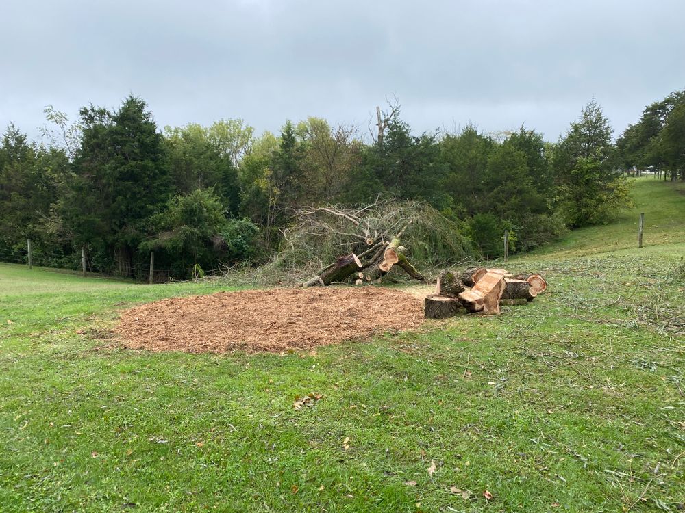 All Photos for Houtz Tree Service in Lexington, KY