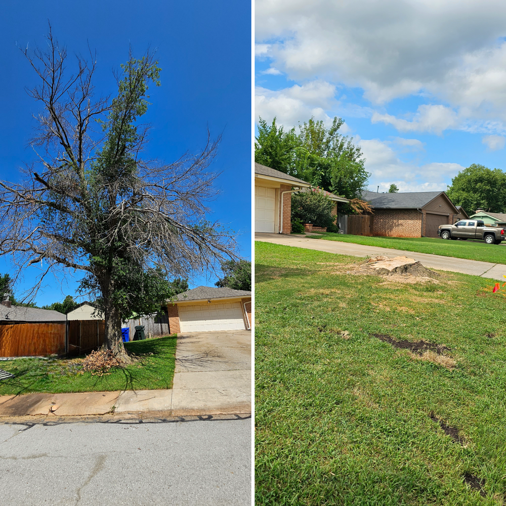 All Photos for Affordable Lawns and Trees in Oklahoma City, OK