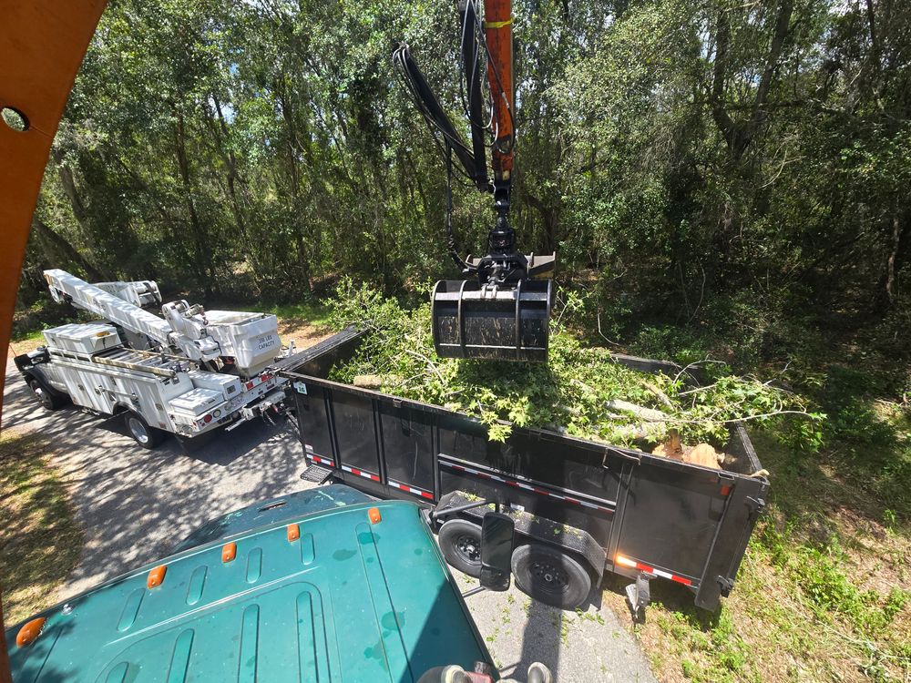 All Photos for Near Me Tree Service, Inc. in DeLand, FL