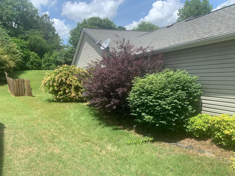 Landscaping for JIF Concrete Services in Greenville, SC