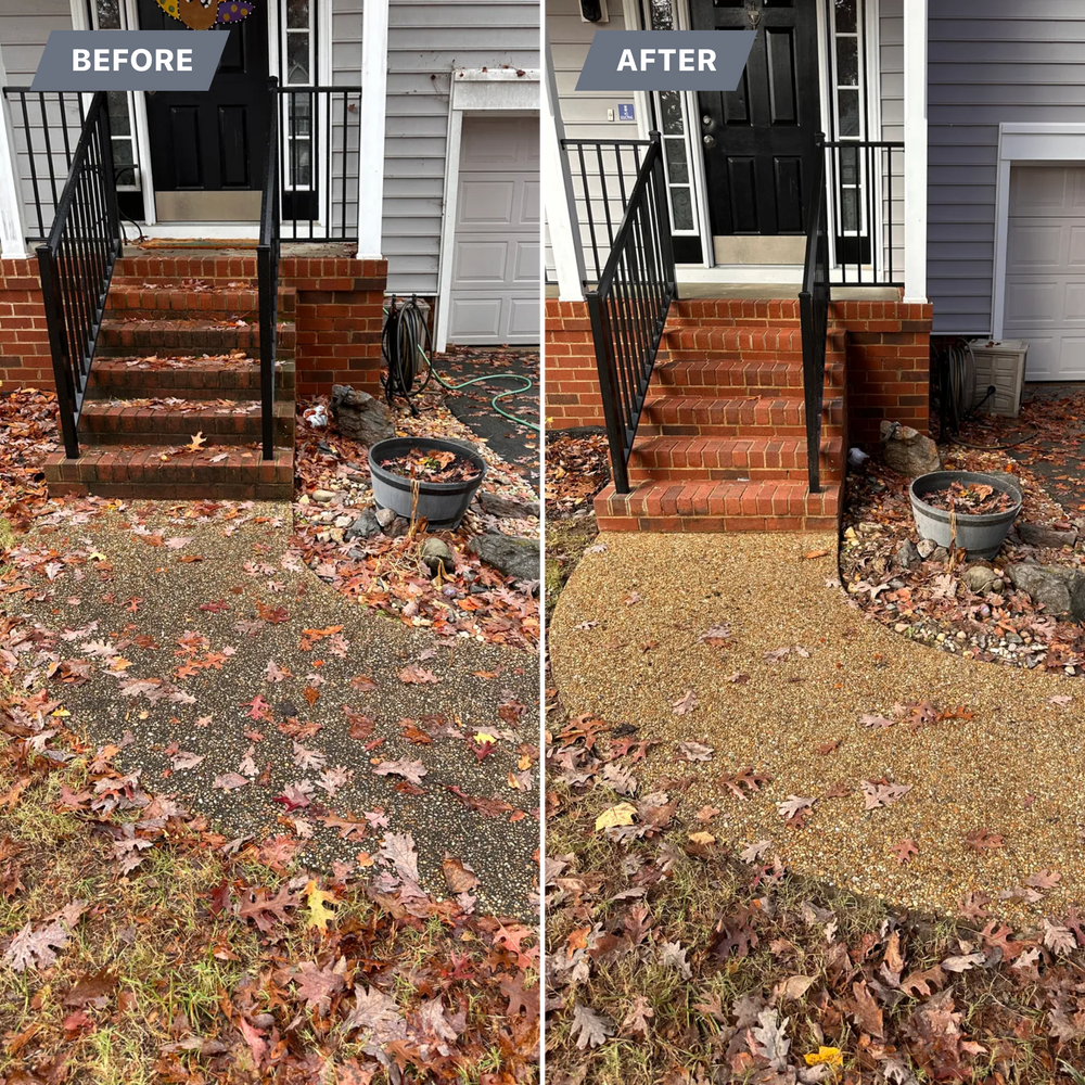 All Photos for LeafTide Solutions in Richmond, VA