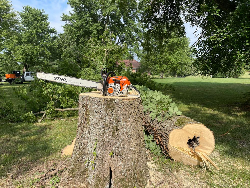 All Photos for Tree Fellers in Sumner County, TN