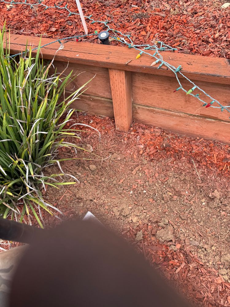 All Photos for CBA Landscaping in Hayward, CA