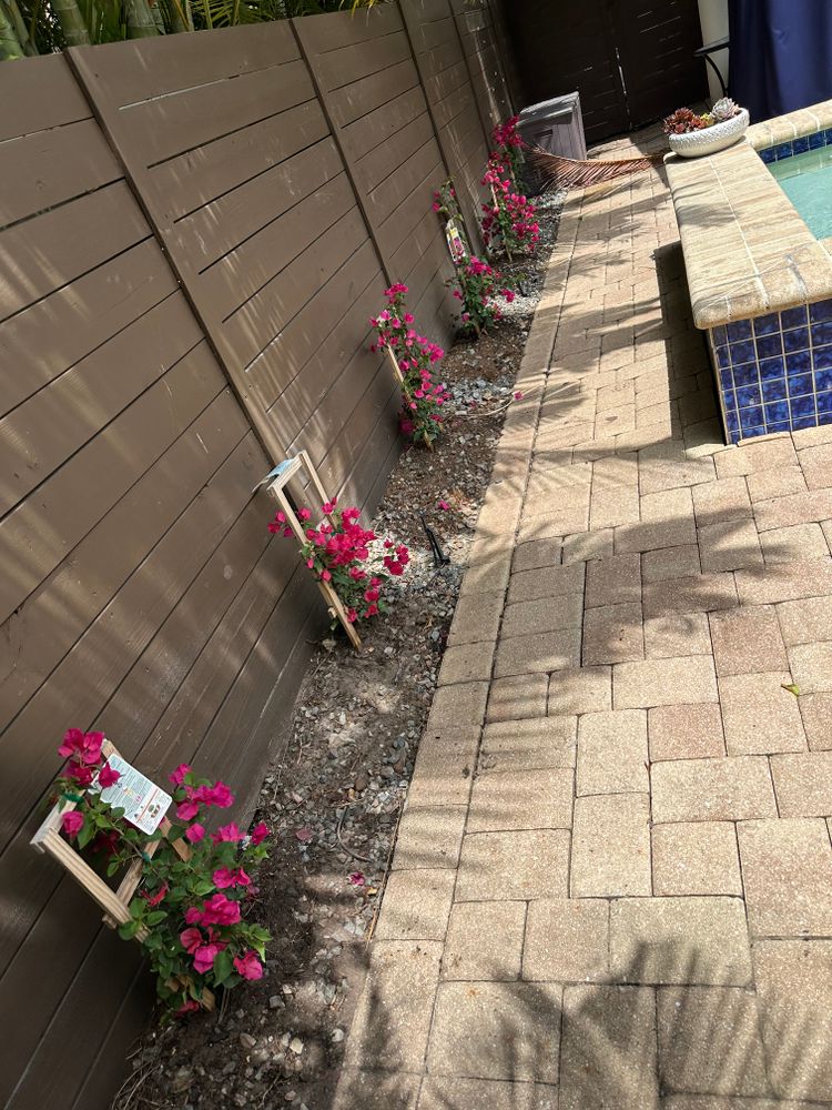 All Photos for Gulf Bay Sod in Clearwater, FL