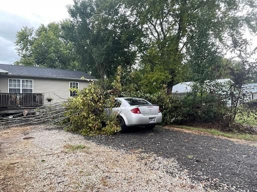 All Photos for Ross Family Tree Service LLC  in Hohenwald, TN