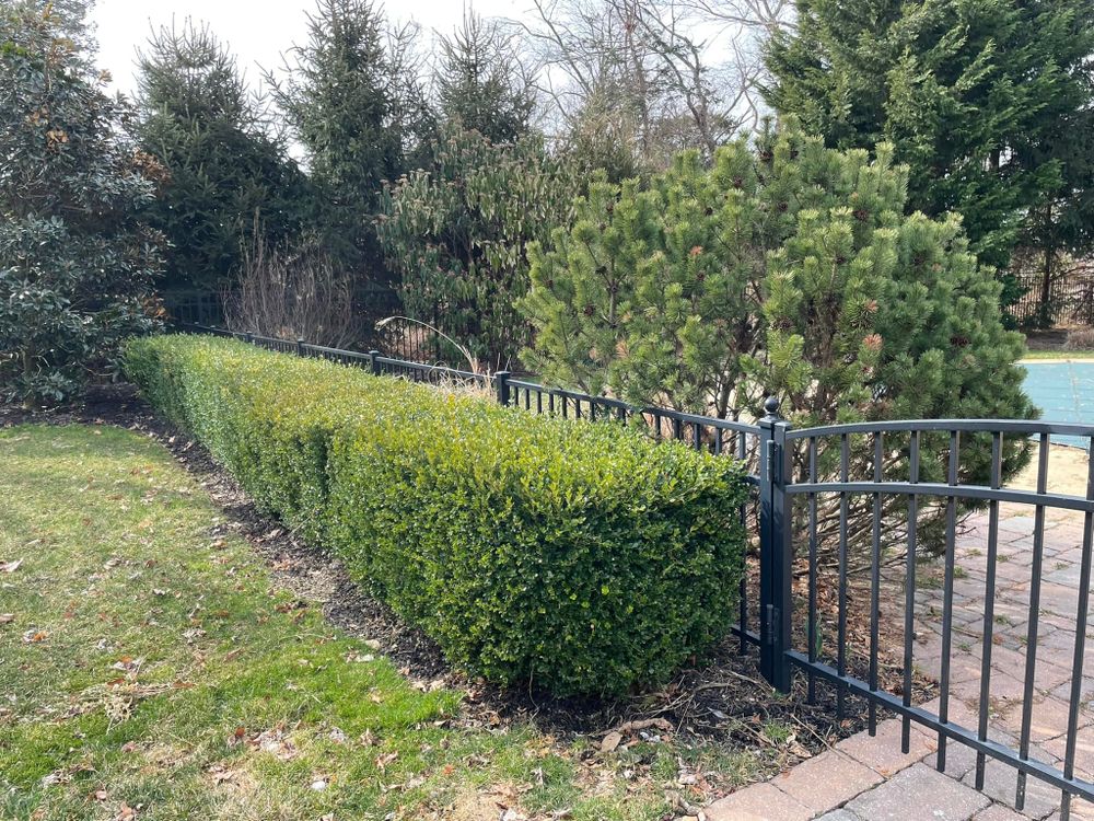 Landscaping for S&G Landscape & Property Maintenance LLC in Bradley Beach, NJ