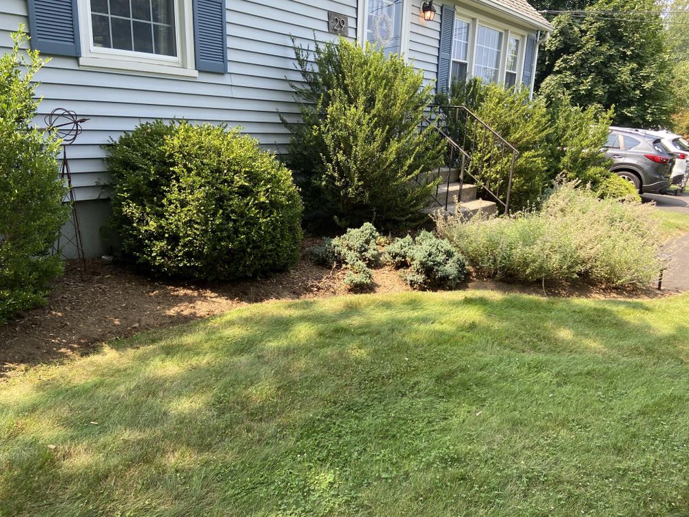 All Photos for Ace Landscaping in Trumbull, CT