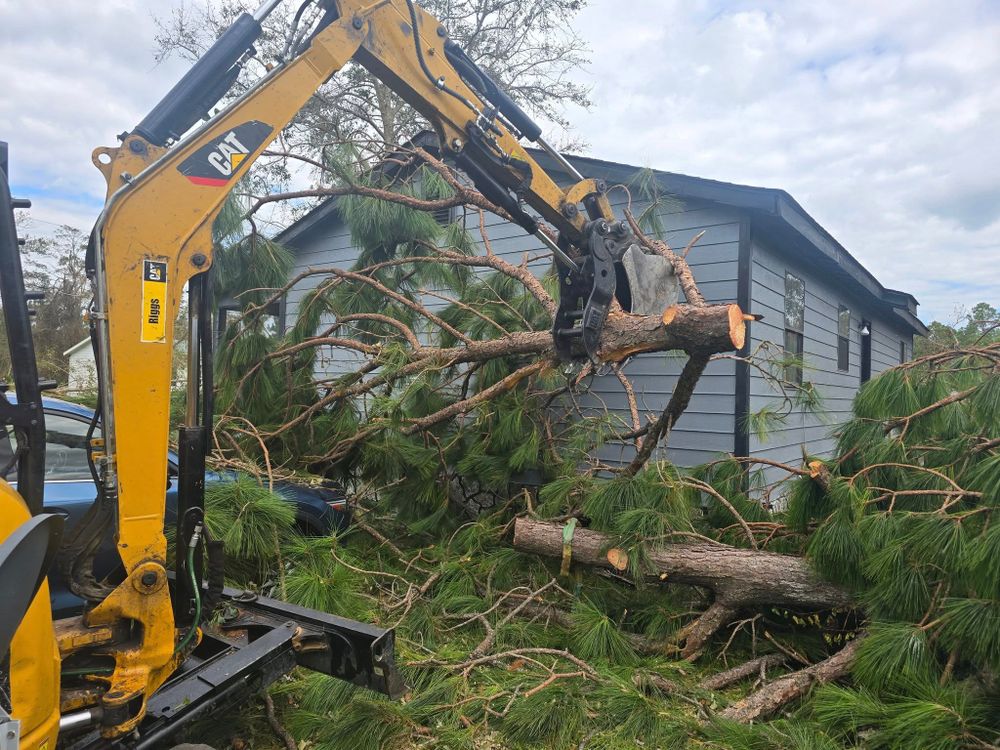 Our expert Tree Removal service ensures safe, efficient removal of unwanted or hazardous trees, enhancing your property's beauty and safety while minimizing disruption to your landscape. Trust us for professional results. for Paquette's Tree Service in Malvern, AR