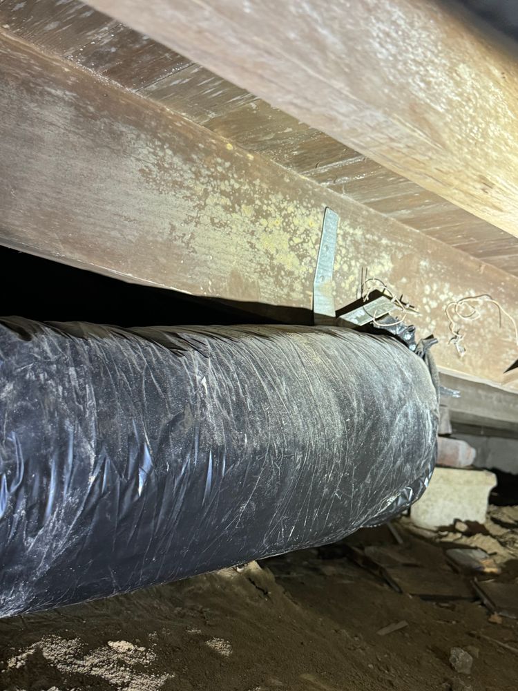 Crawlspace/Attic Renovation  for All-In Pest Control & Home Solutions in Greene County, IN