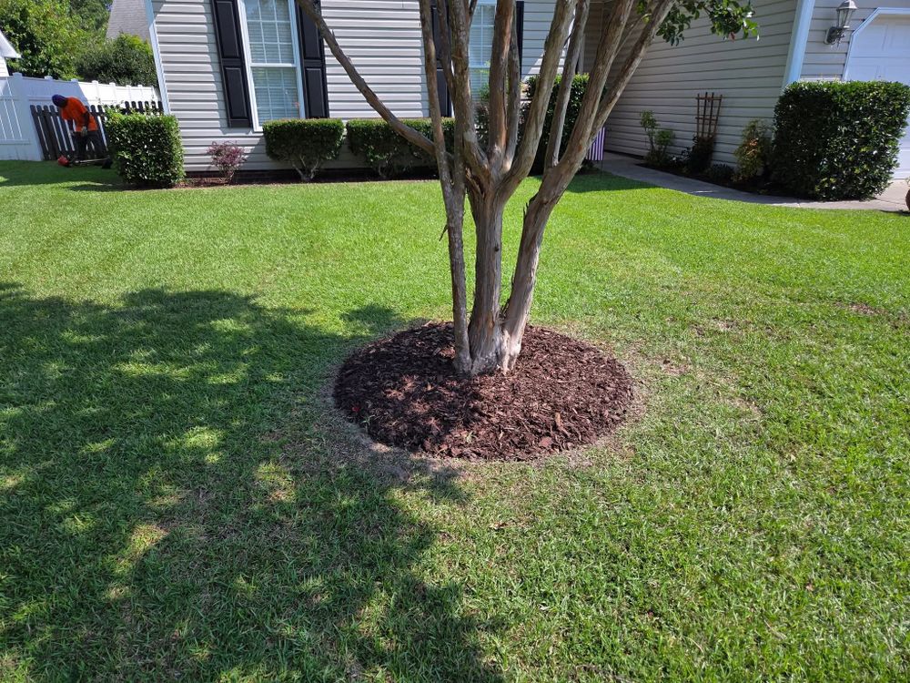 Enhance your home's curb appeal with our expert weed trimming and edging services, ensuring a pristine lawn. Our team specializes in precise shrub trimming for a beautifully manicured outdoor space year-round. for Just Mow and Go Lawn Service, LLC in New Bern, NC