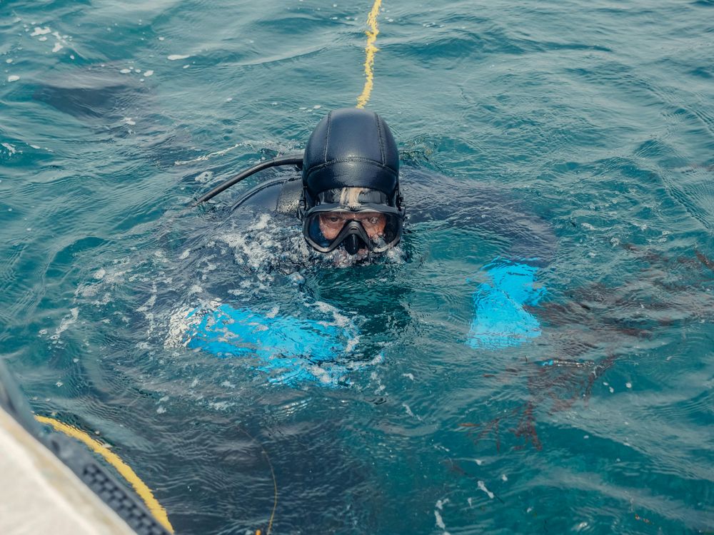 Our Underwater Recovery Services efficiently retrieve lost items from water bodies, ensuring your treasured belongings are safely returned. Our experienced divers use advanced equipment to deliver reliable and timely solutions for homeowners. for 865 Divers  in Blaine, TN