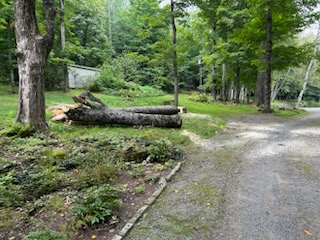 All Photos for Andy Naylor Excavation in Stowe, VT