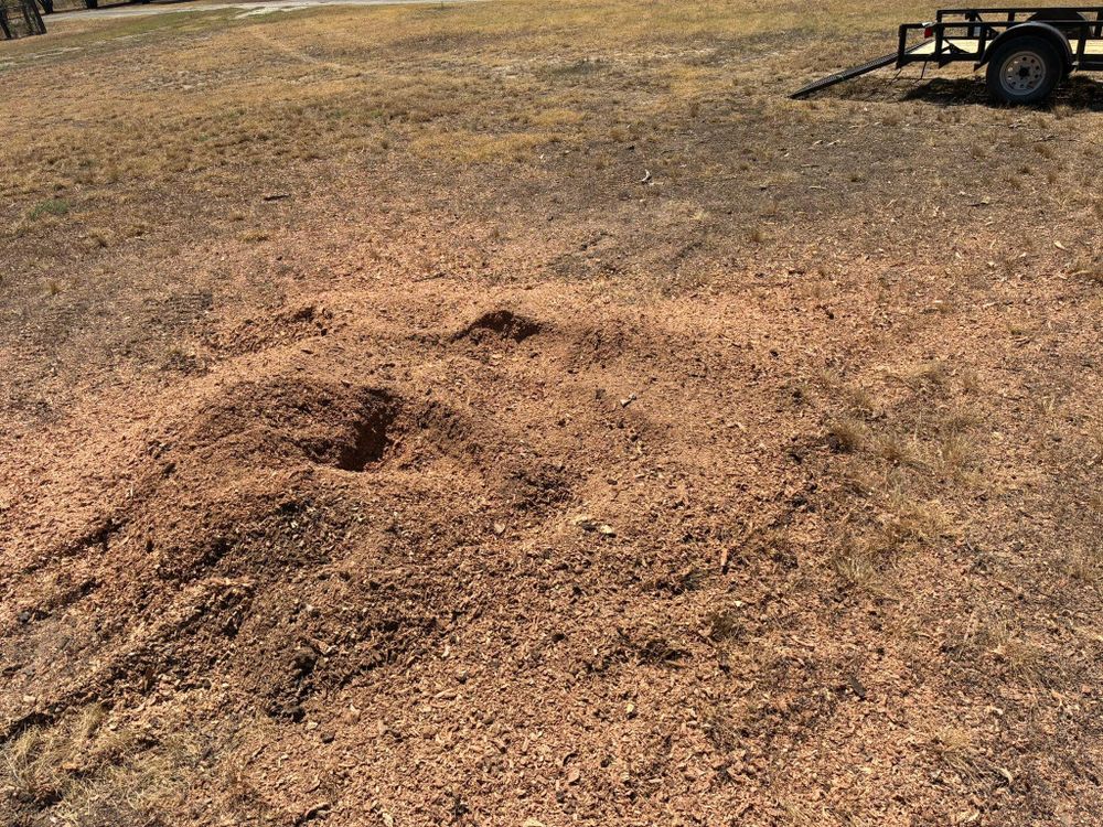 All Photos for C & C Lawn Care and Maintenance in New Braunfels, TX