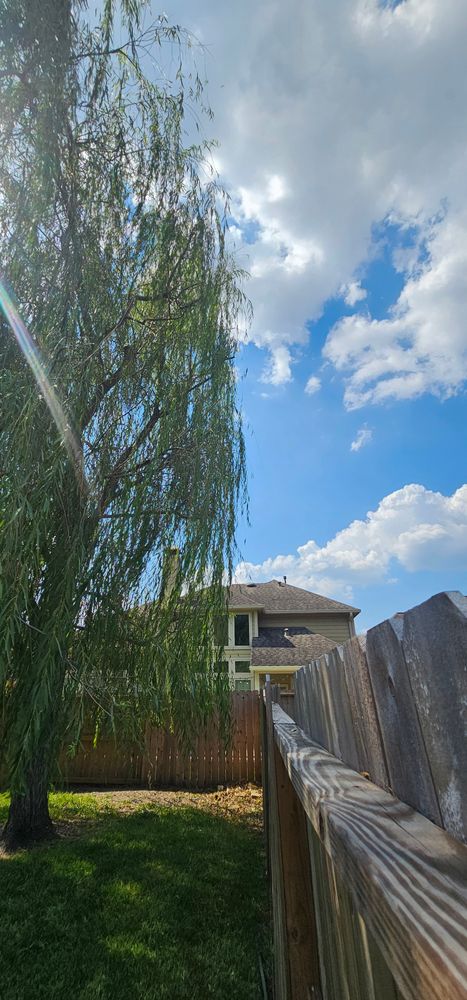 All Photos for Servin's Tree Care  in Houston, TX