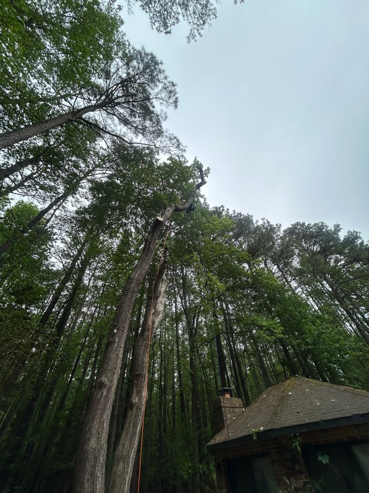 All Photos for The Whole 9 Yards Landscape VA in Heathsville, VA