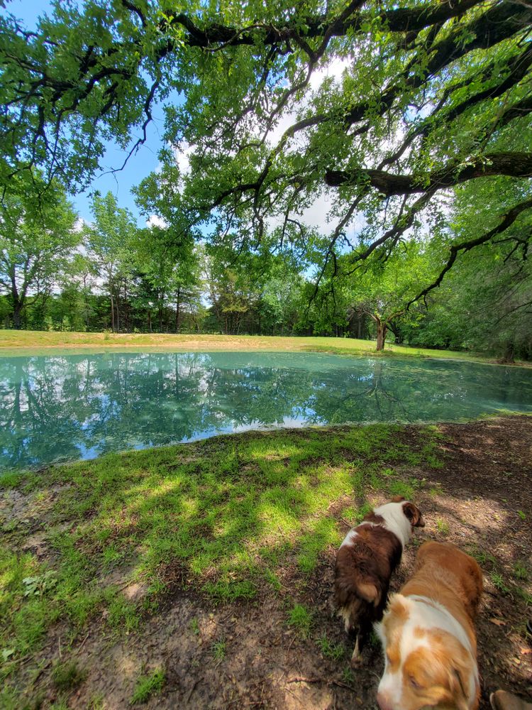 All Photos for Honey Do Dirtworks LLC in Bonham, TX