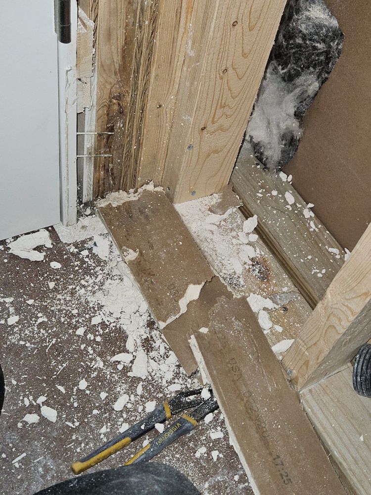 Mold Remediation for N&D Restoration Services When Disaster Attacks, We Come In in Cape Coral,  FL