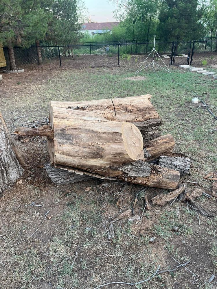 Tree Removal for Lion In The Tree Trimming Service in Big Spring, TX