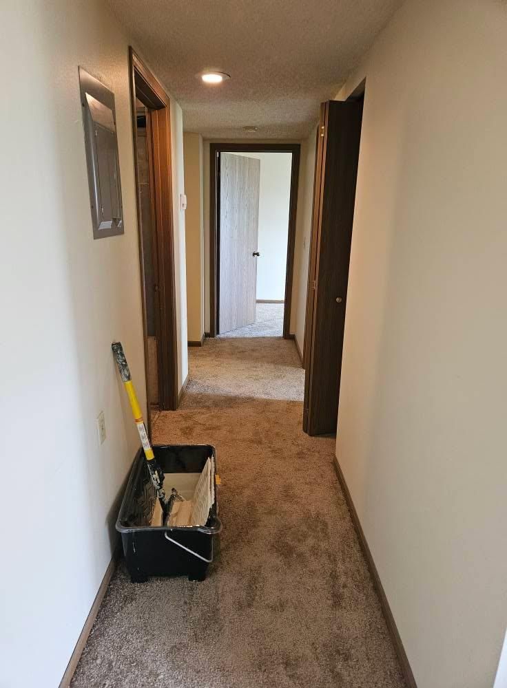 All Photos for Loving 217 Homes in Chatham, IL