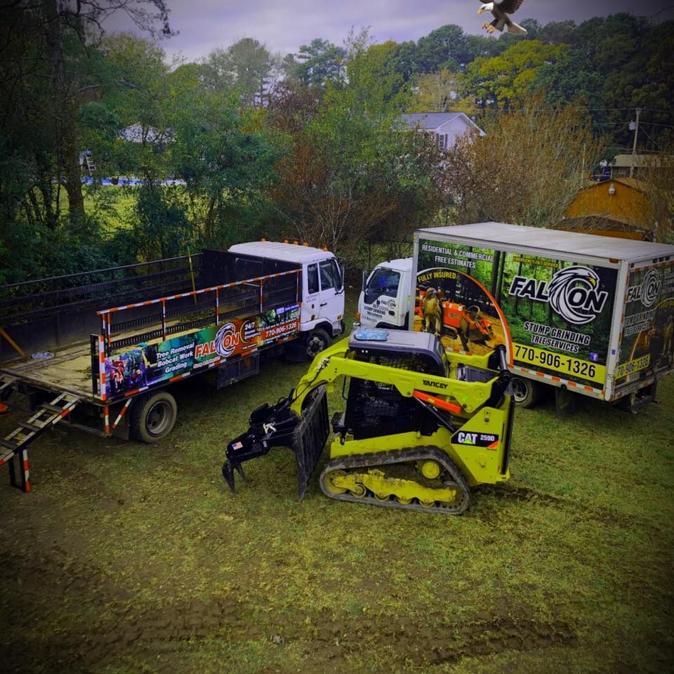 All Photos for Falcon stump grinding Tree services in Loganville, GA