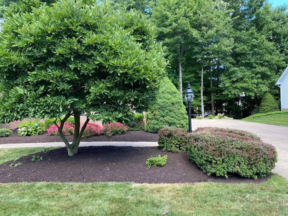 All Photos for Jenkins Landscaping & Property Management LLC in Clinton, OH
