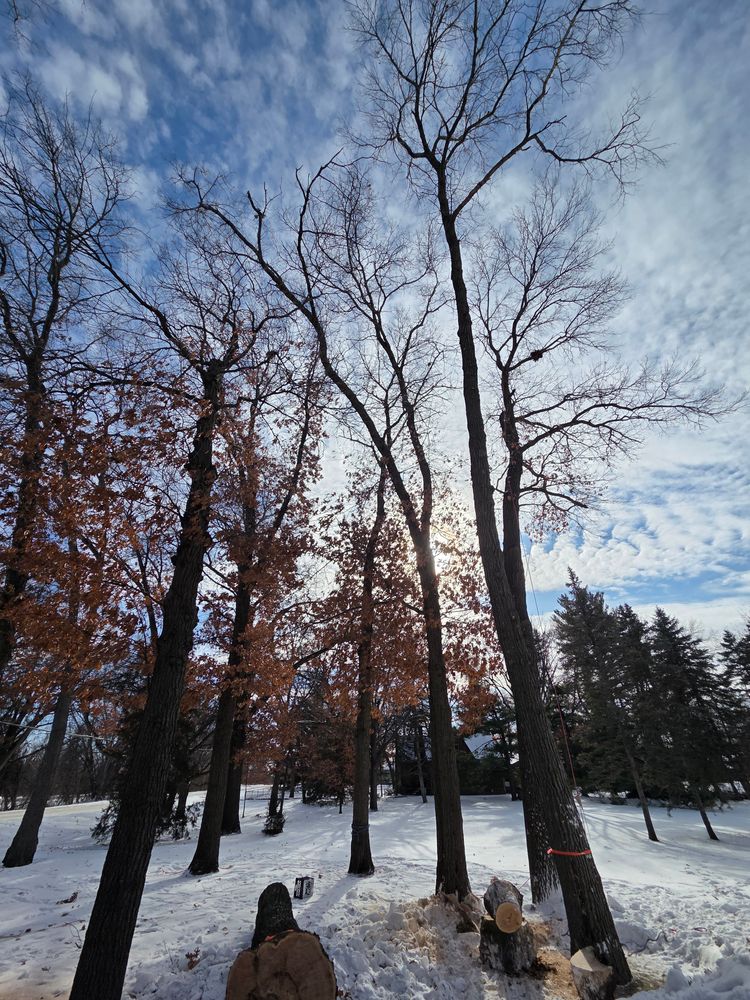 All Photos for K and Z Tree Care in Isanti County, MN