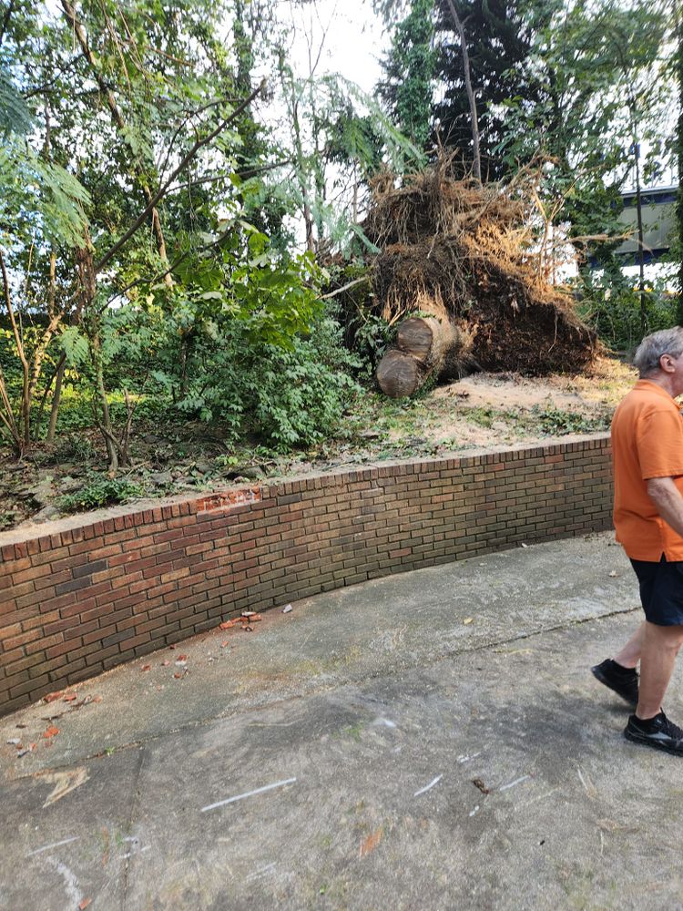 Tree Removal for Stumpbusters Tree Service in Louisa County, VA