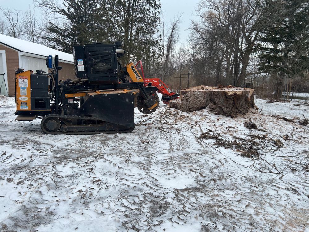 All Photos for S.H. Tree Service LLC in Hilton, NY