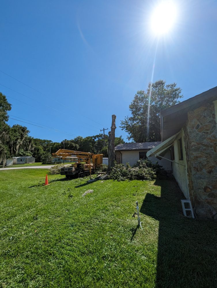 All Photos for Regal Tree Service and Stump Grinding in Wauchula, FL