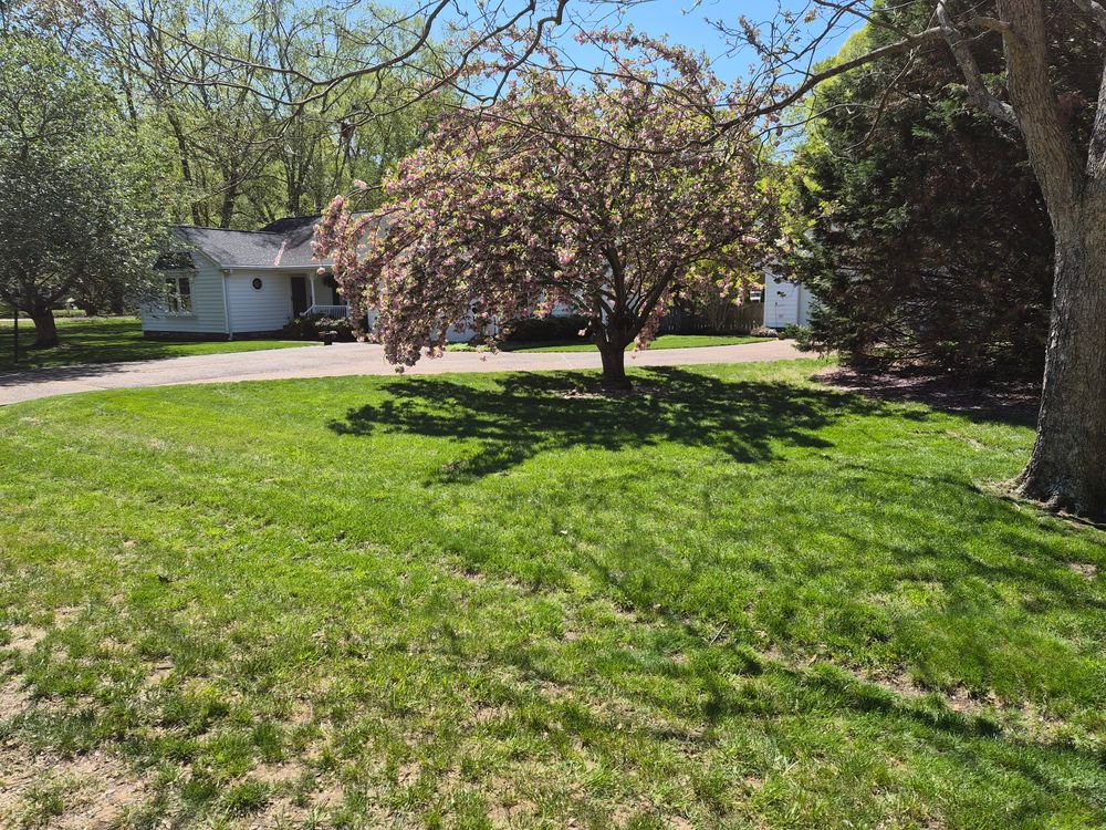 All Photos for 4 Points Lawncare LLC in Hayes, VA