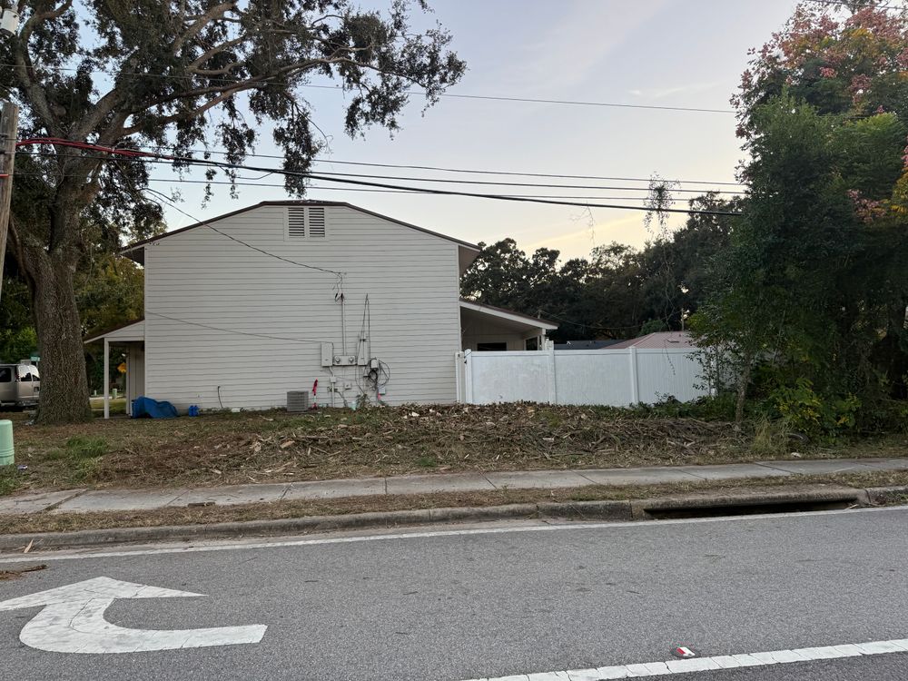 All Photos for Amerigrown Tree And Lawn in Apopka, FL