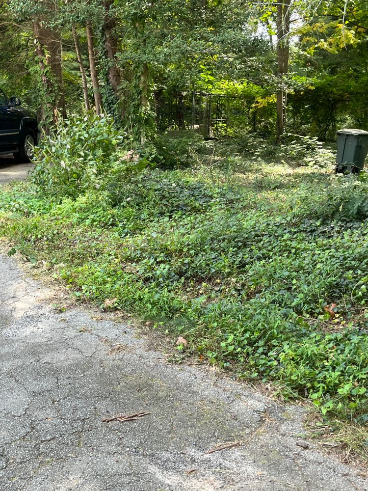 All Photos for Dream Cuts Landscaping and Lawn Care LLC in Gastonia, NC