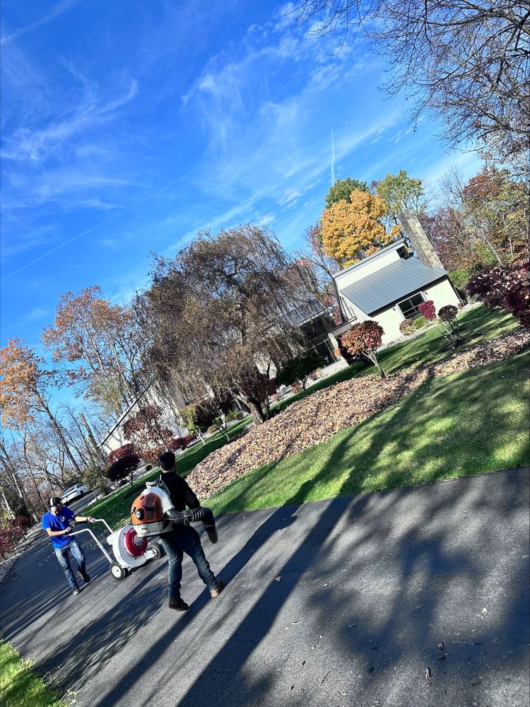 Leaf Removal for 4 Brothers Landscaping LLC in Albany, NY