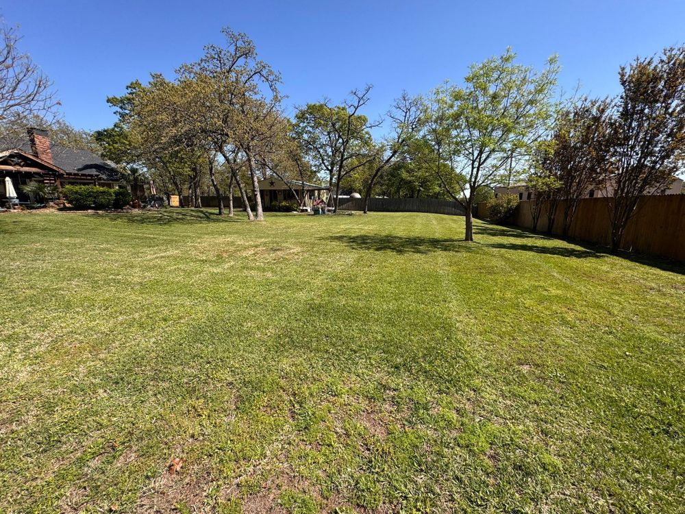 All Photos for Mora’s Lawn Services in Crowley,  TX