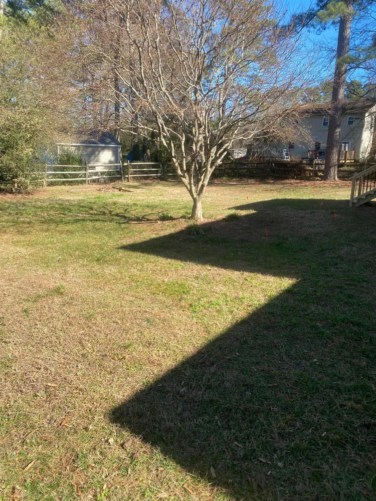 Mulching for America's Top Pick Lawn & Landscaping in Gastonia, NC