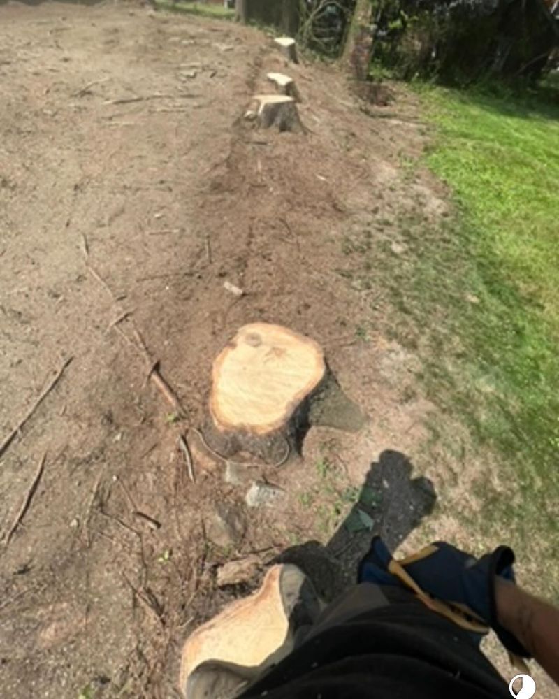 All Photos for Mark's Multiple Landscaping in Pittsburgh, PA