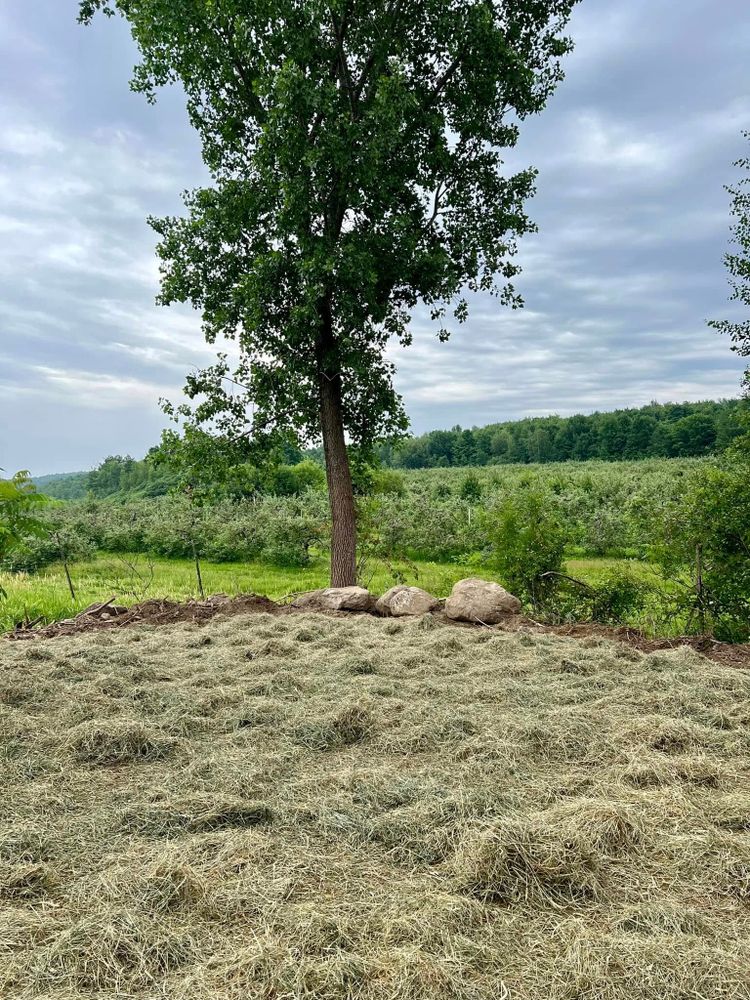 Landscaping for Bishop’s Property Maintenance in Franklin, VT