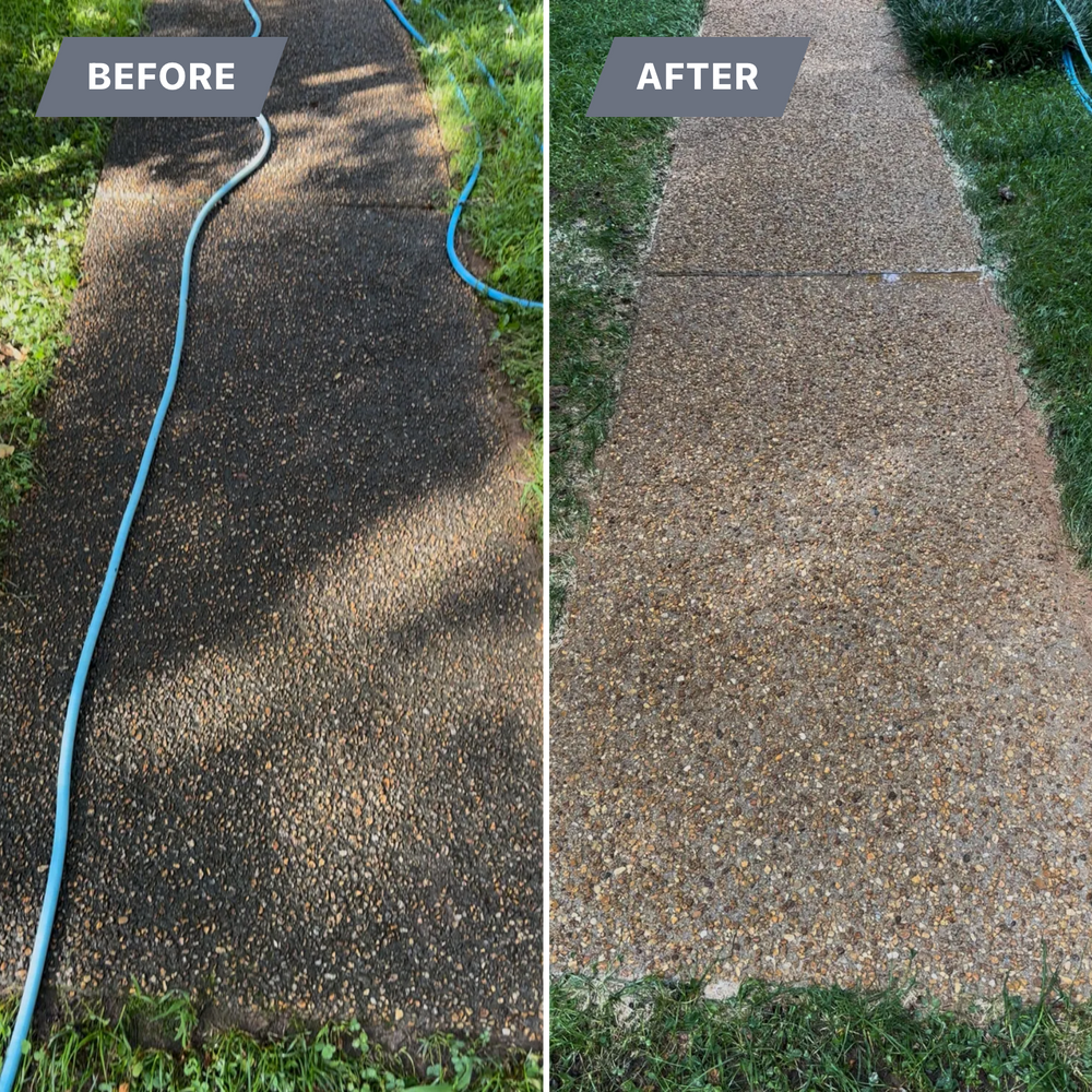 All Photos for LeafTide Solutions in Richmond, VA