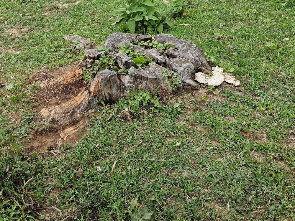 All Photos for I and R Stump Grinding in Thornville, OH