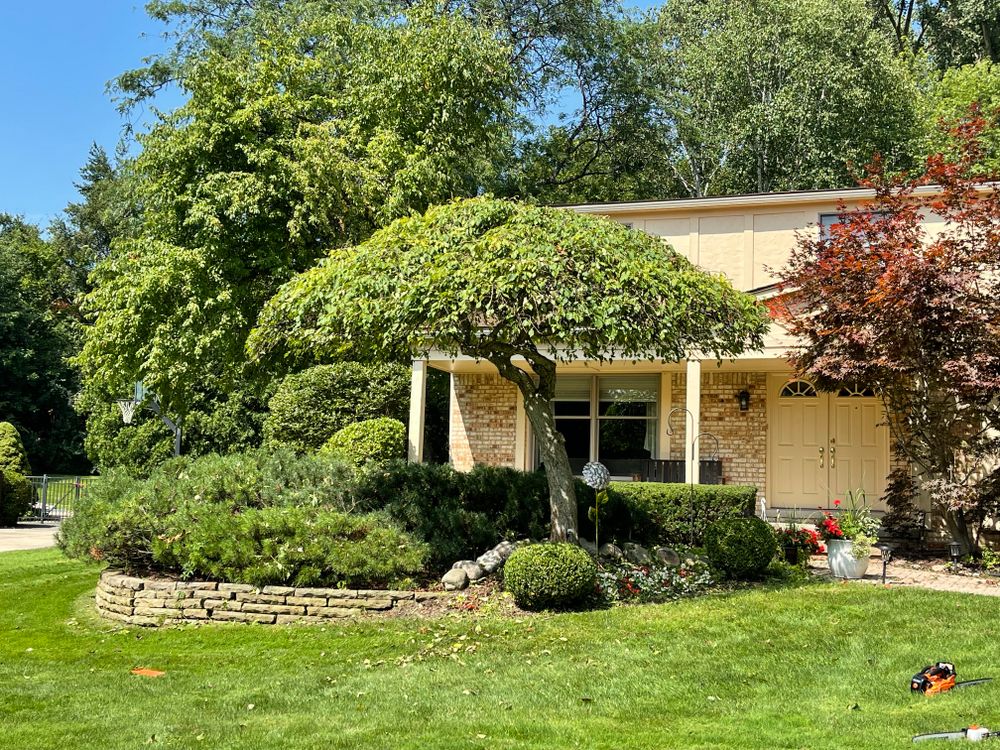 All Photos for Steed's Lawn and Landscape LLC in White Lake, MI