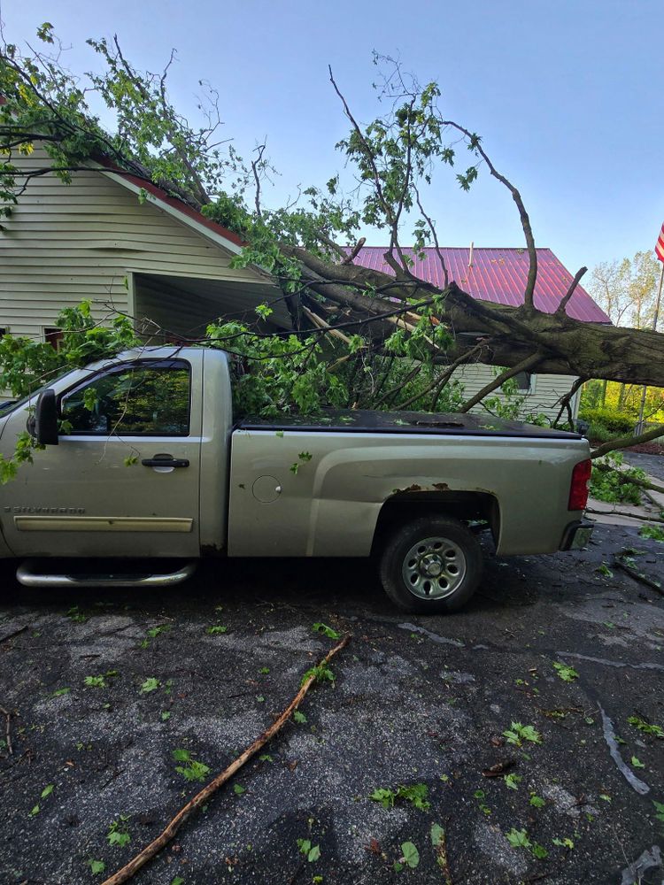 All Photos for Branching Out Tree Service in Hastings, MI