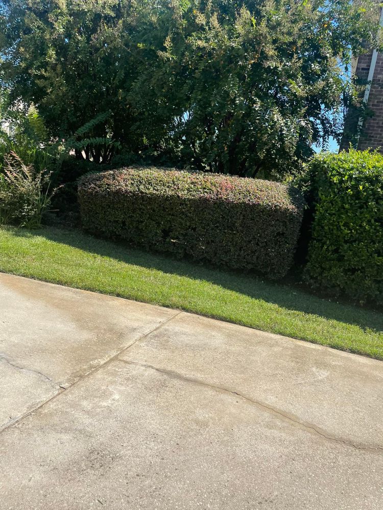 Landscaping for Sparks Landscaping in Augusta, GA