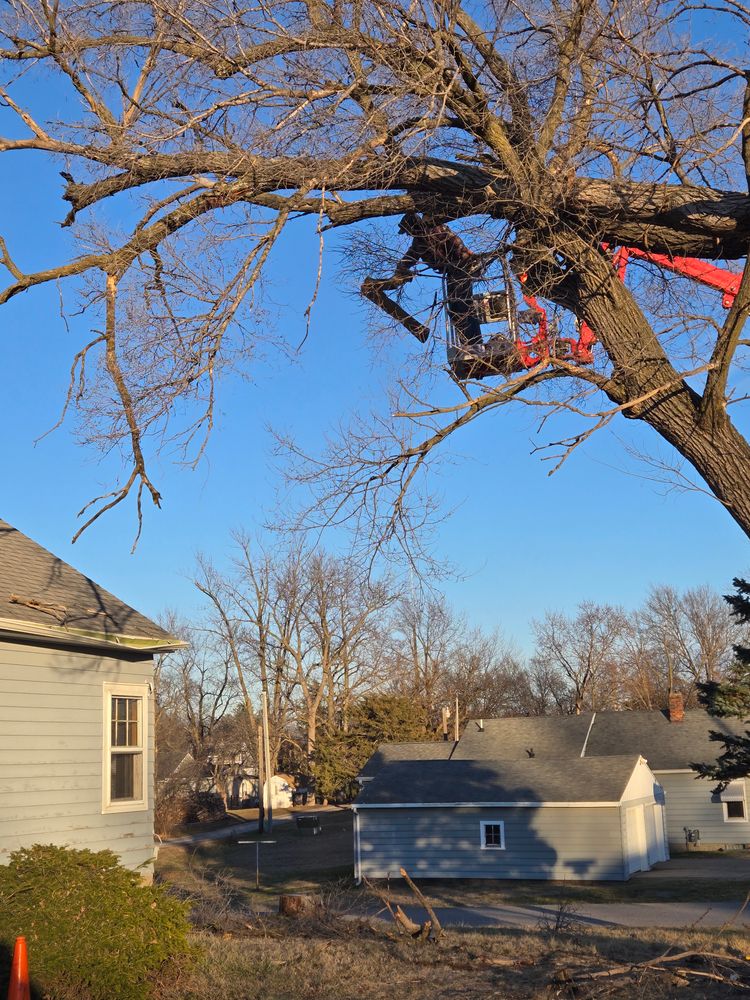 All Photos for Lawn Ranger Yard And Tree Service LLC in Ottumwa, IA