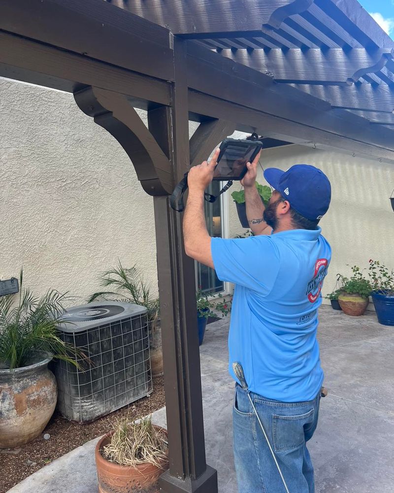 Our Termite Repairs service at Termite Team Company provides professional solutions to repair damage caused by termites, ensuring your home is restored and protected from future infestations. for Termite Team Company in Los Angeles, CA