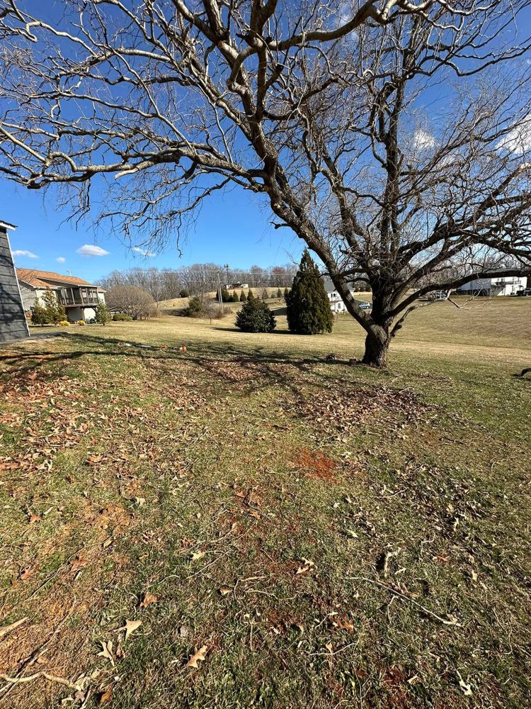 All Photos for Adkins Solutions LLC in Goodview, VA