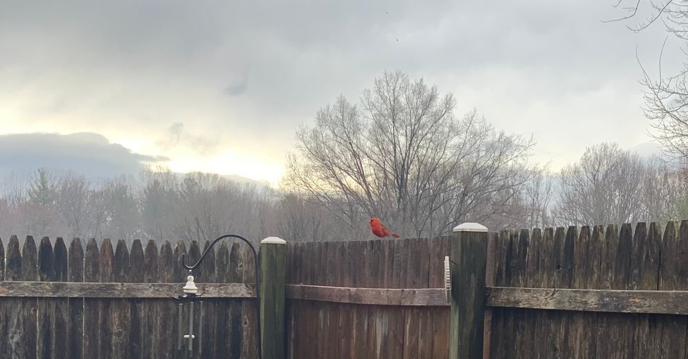 All Photos for R Merkli Inc. in Mount Vernon , VA